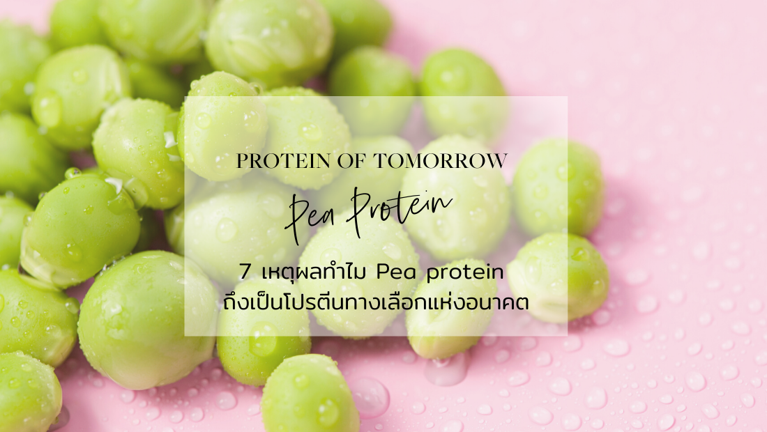 7 เหตุผลทำไม Pea protein ถึงเป็นโปรตีนทางเลือกแห่งอนาคต